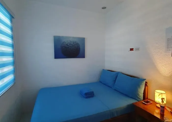 Apartment Jah's Anemone Dive *