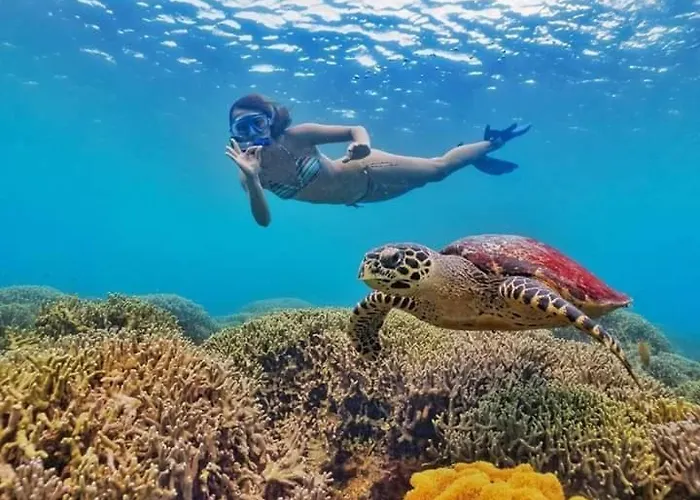 Jah's Anemone Dive *